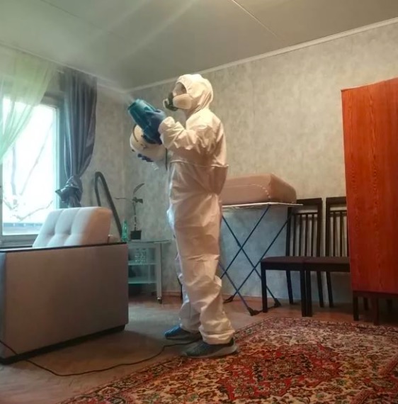 дезинсекция квартиры в Пушкино